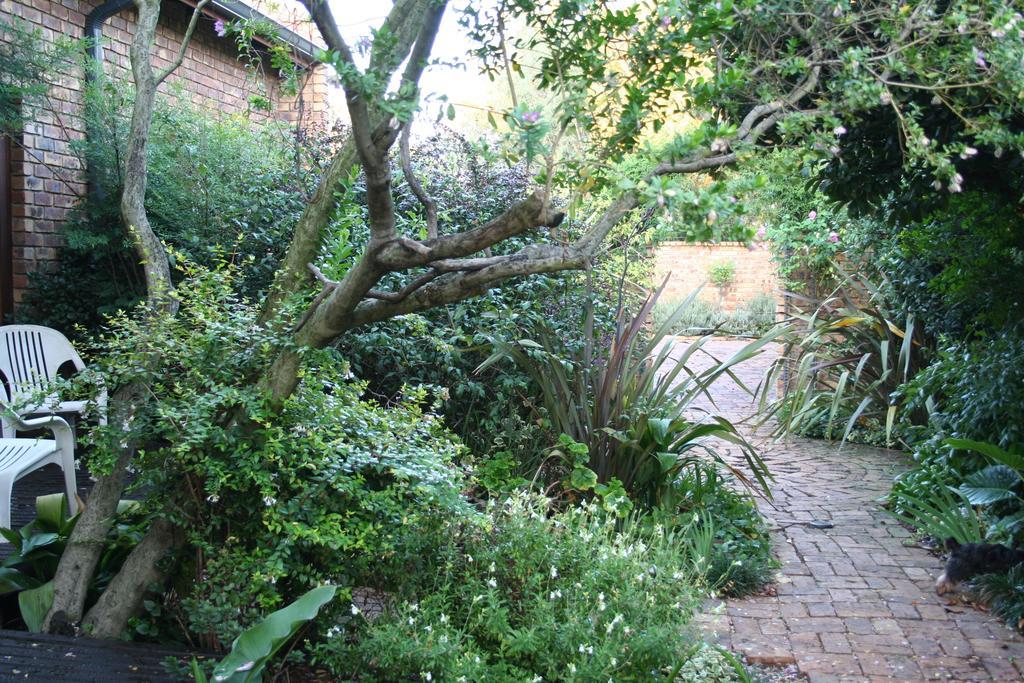 Aero Lodge Guest House Middelburg  Ngoại thất bức ảnh